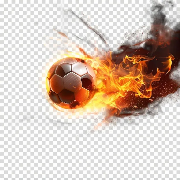 乐鱼体育官方网站 - 品牌形象图